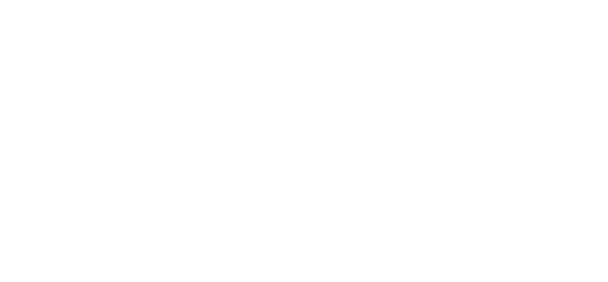 nevda logo white